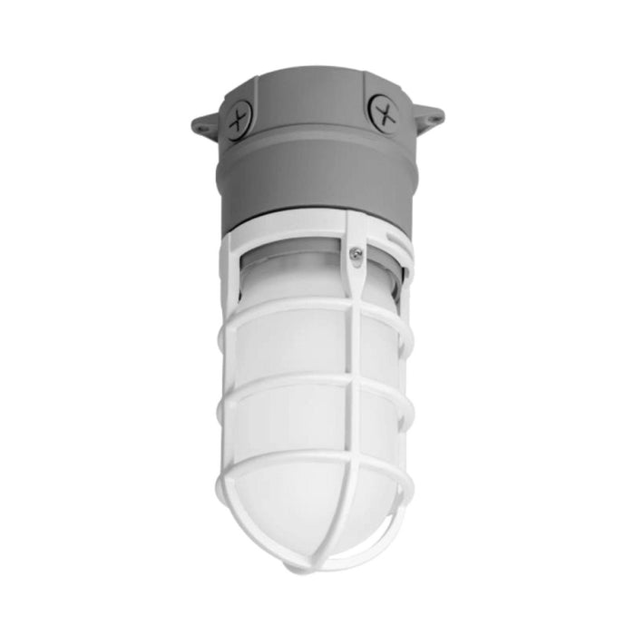 EXO VBGL-2 20W LED Vaportites, Ceiling Mount 4000K, 2673 Lumens Grey120-277V IP66