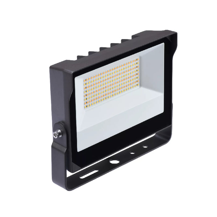 Keene SF205 120W/150W/205W LED SlimFlood Light, 3CCT Selectable, Trunnion Mount