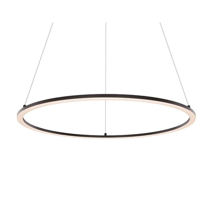 Dals RGPD24-CC Circa 1-lt 24" LED Pendant, 5CCT Selectable