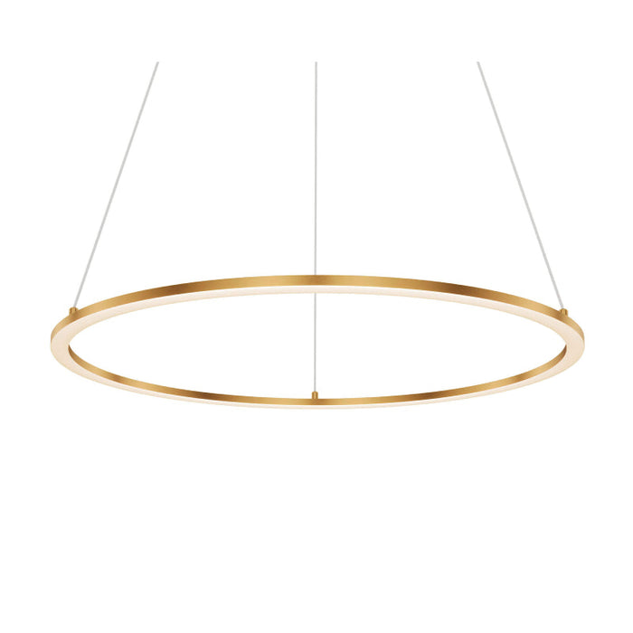 Dals RGPD24-CC Circa 1-lt 24" LED Pendant, 5CCT Selectable