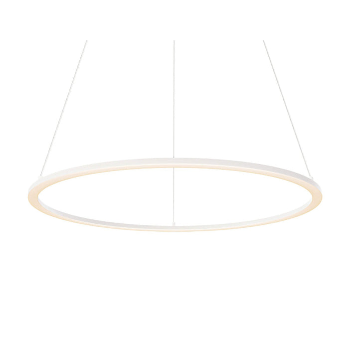 Dals RGPD24-CC Circa 1-lt 24" LED Pendant, 5CCT Selectable