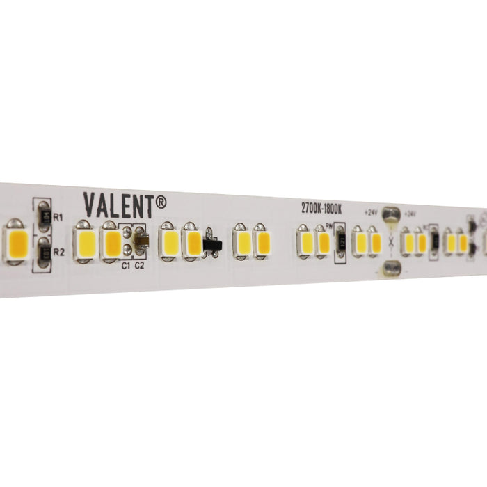 Diode LED Valent Warm Dim 24V LED Tape Light