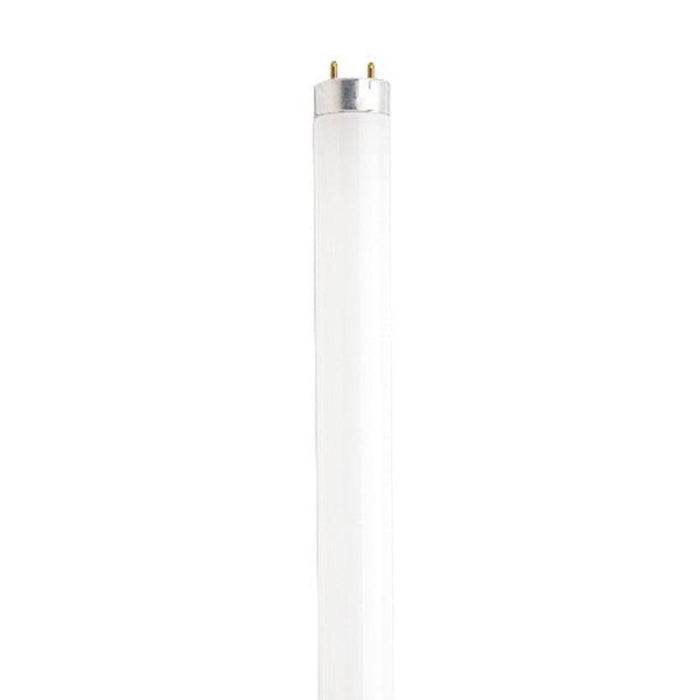 Satco S8436 32W 48" T8 Linear Fluorescent Bulb